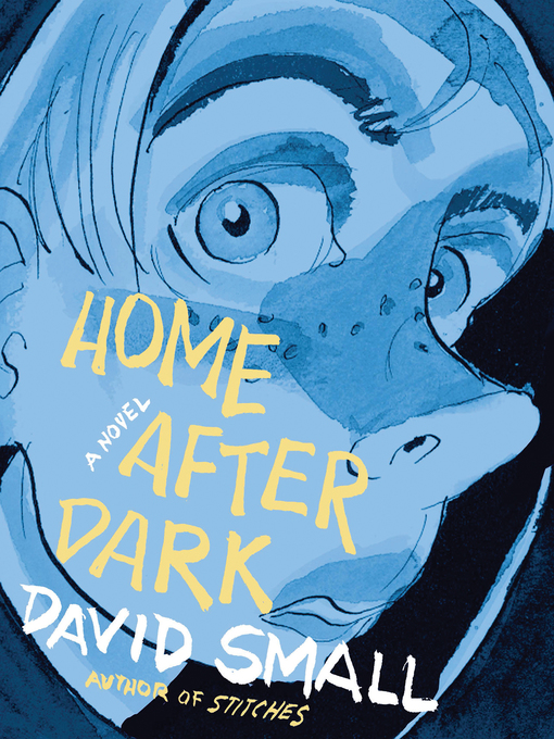 Title details for Home After Dark by David Small - Wait list